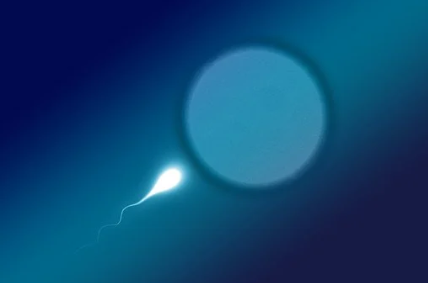 1624432326410999.png 微信截图_20210623150949.png