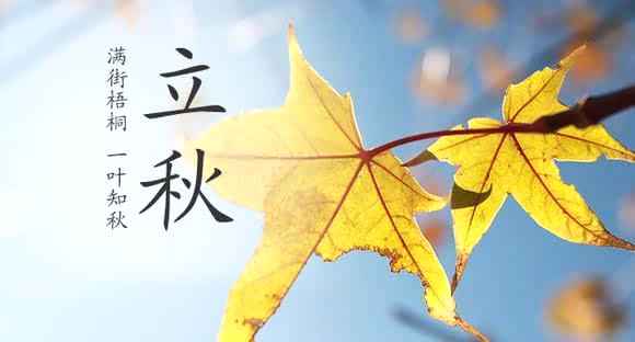 1628221425563085.jpg 立秋.jpg