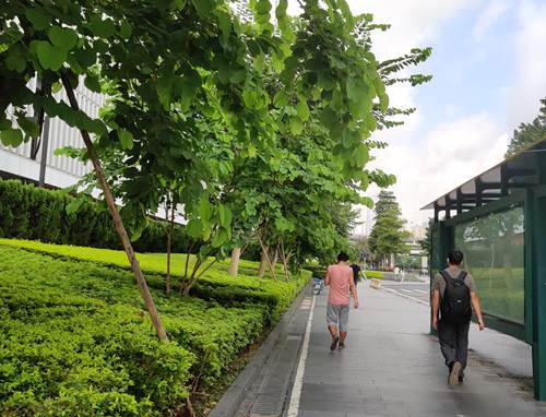 男人性功能下降中医可以调理吗 男人性功能下降中医可以调理吗