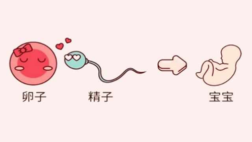 死精症还有正常生育的机会吗 死精症还有正常生育的机会吗