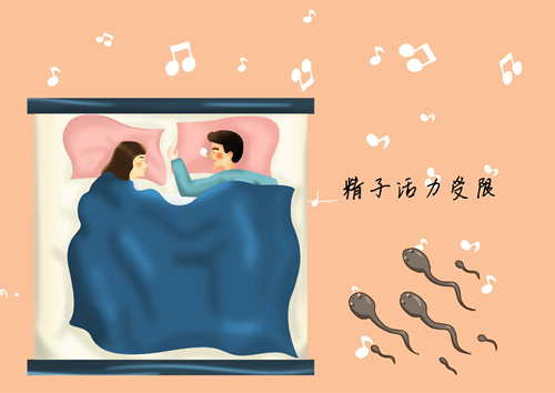 精子畸形会影响生育 精子畸形会影响生育