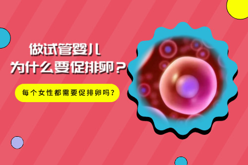 1663228021732605.jpg 官网1.jpg