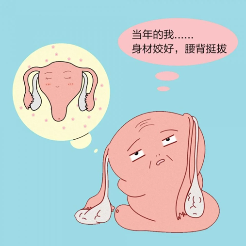 1683598405400864.png 图片