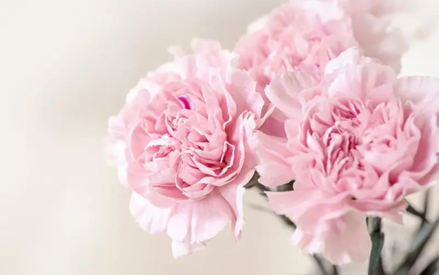 1683765169102891.png 图片