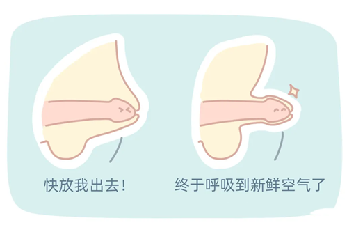1687143247841626.png 图片