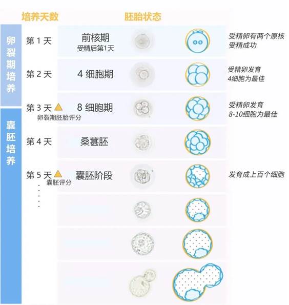 1687145508795909.jpg 图片