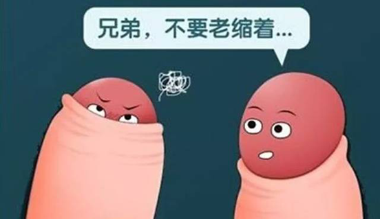 1690340579295356.png 图片