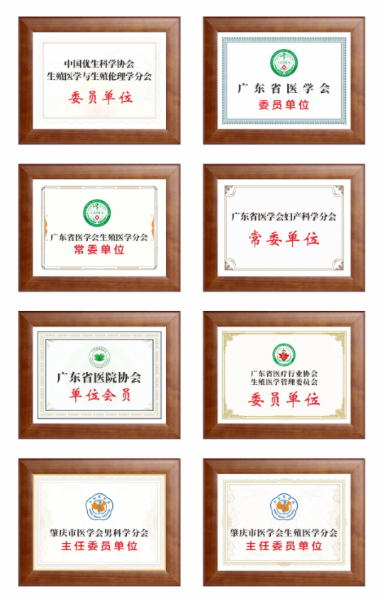 c86544b54770dc86b5a344755b12c84.png