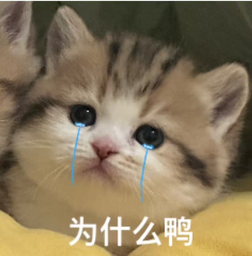 1760872657543303.png 1.5.png