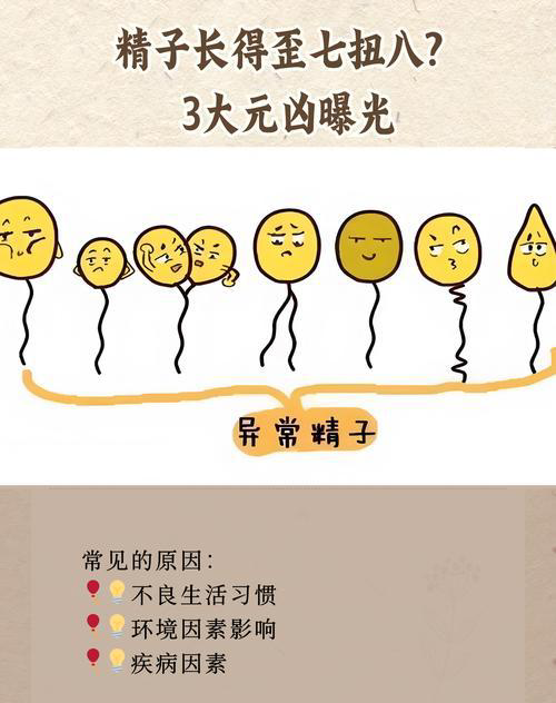 1763177104246457.png 1.png